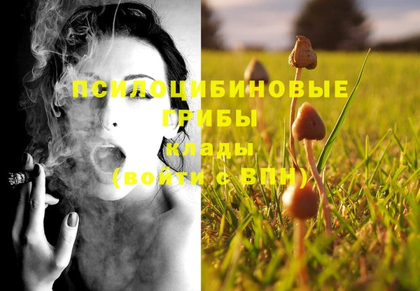тгк Алексин