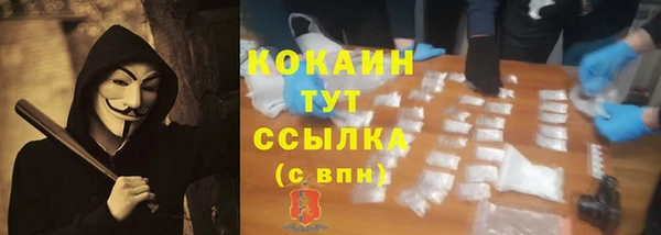 тгк Алексин