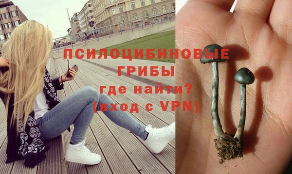хмурый Абдулино