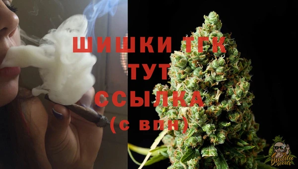 тгк Алексин