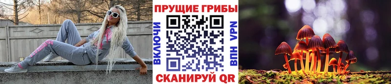 МЕГА ссылка  Власиха  Псилоцибиновые грибы ЛСД 